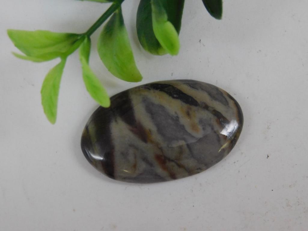 FOSSILIZED CORAL CABOCHON ROCK STONE LAPIDARY SPECIMEN: Discover an extraordinary collection of natural wonders and estate treasures in Hatman's Auctions' Treasures of the Earth Online Auction! Browse turquoise, agate, jasper, petrified wood, quartz