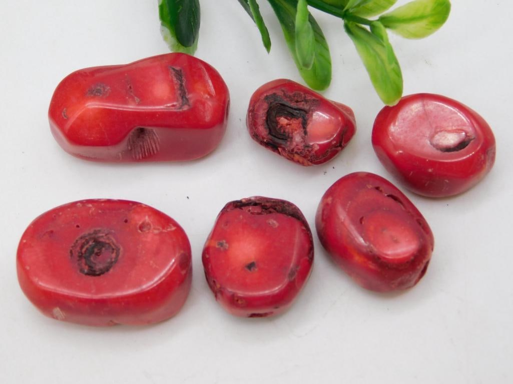 RED CORAL ROCK STONE LAPIDARY SPECIMEN: Discover an extraordinary collection of natural wonders and estate treasures in Hatman's Auctions' Treasures of the Earth Online Auction! Browse turquoise, agate, jasper, petrified wood, quartz