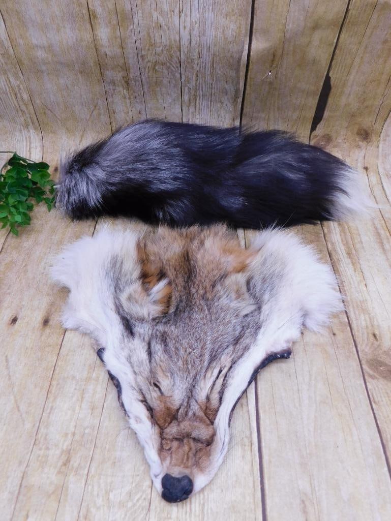 TAXIDERMY MIXED LOT: Discover an extraordinary collection of natural wonders and estate treasures in Hatman's Auctions' Treasures of the Earth Online Auction! Browse turquoise, agate, jasper, petrified wood, quartz