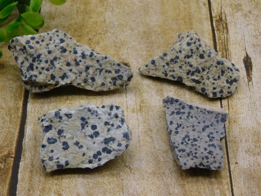 DALMATION JASPER ROCK STONE LAPIDARY SPECIMEN (1 of 3)
