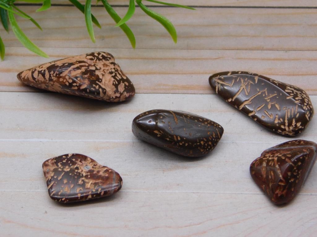 STARBURST JASPER ROCK STONE LAPIDARY SPECIMEN: Discover an extraordinary collection of natural wonders and estate treasures in Hatman's Auctions' Treasures of the Earth Online Auction! Browse turquoise, agate, jasper, petrified wood, quartz crysta