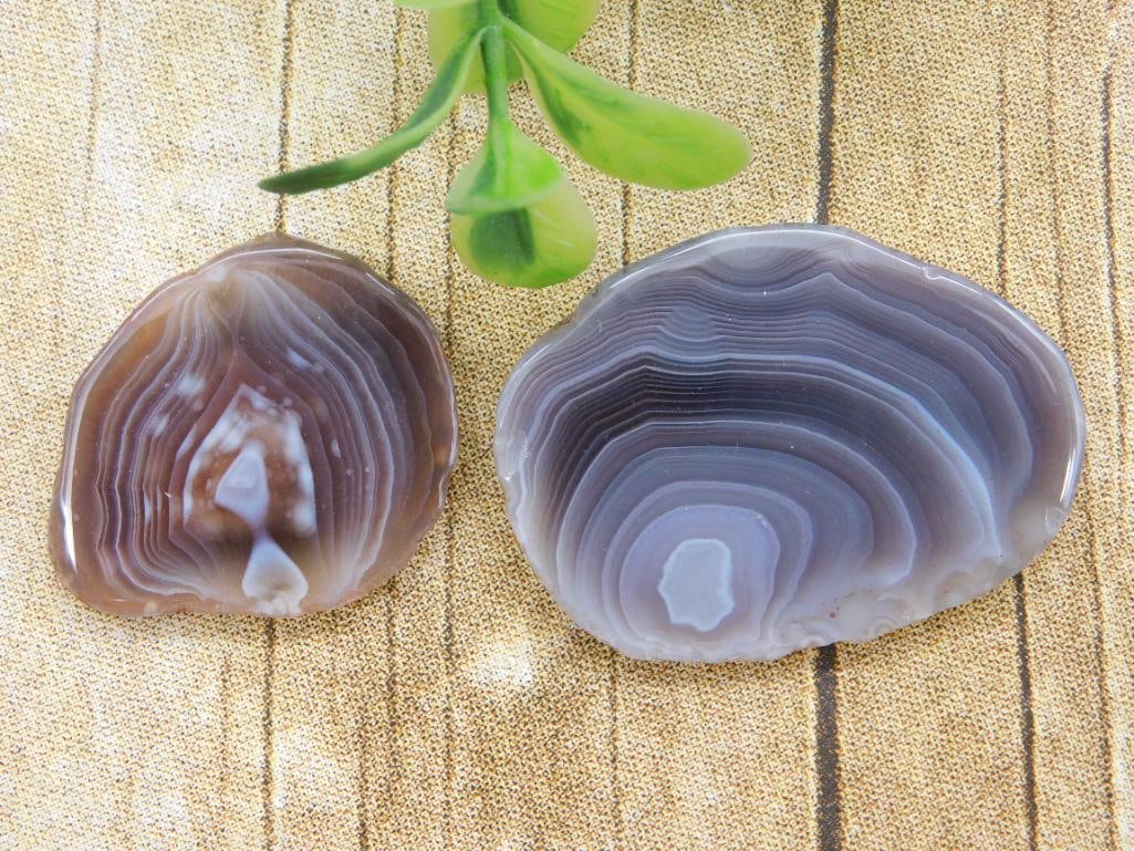 BOTSWANA AGATE ROCK STONE LAPIDARY SPECIMEN: Discover an extraordinary collection of natural wonders and estate treasures in Hatman's Auctions' Treasures of the Earth Online Auction! Browse turquoise, agate, jasper, petrified wood, quartz