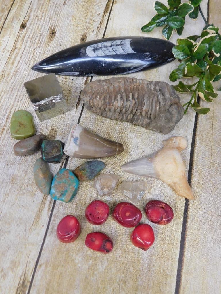 MIXED LOT ROCK STONE LAPIDARY SPECIMEN: Discover an extraordinary collection of natural wonders and estate treasures in Hatman's Auctions' Treasures of the Earth Online Auction! Browse turquoise, agate, jasper, petrified wood, quartz crysta