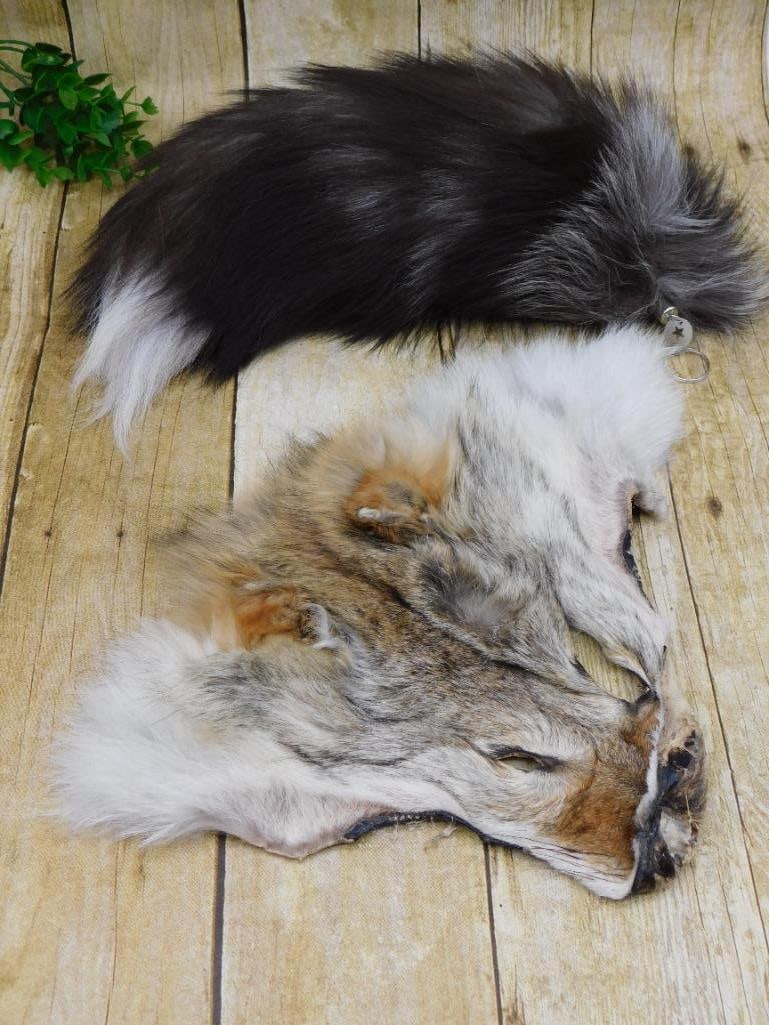 TAXIDERMY MIXED LOT: Discover an extraordinary collection of natural wonders and estate treasures in Hatman's Auctions' Treasures of the Earth Online Auction! Browse turquoise, agate, jasper, petrified wood, quartz