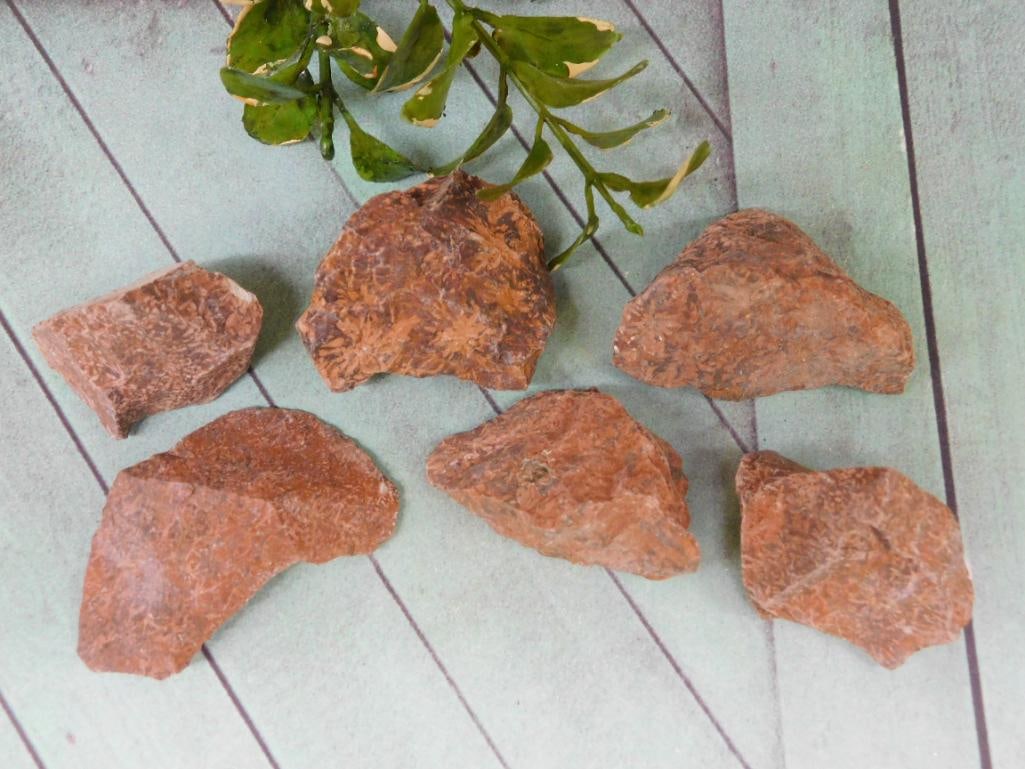 STARBURST JASPER ROCK STONE LAPIDARY SPECIMEN: Discover an extraordinary collection of natural wonders and estate treasures in Hatman's Auctions' Treasures of the Earth Online Auction! Browse turquoise, agate, jasper, petrified wood, quartz crysta