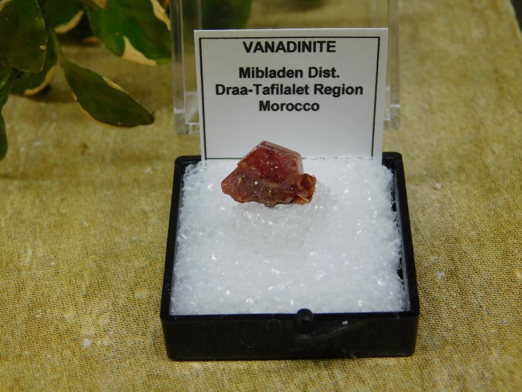 VANADINITE ROCK STONE LAPIDARY SPECIMEN: Discover an extraordinary collection of natural wonders and estate treasures in Hatman's Auctions' Treasures of the Earth Online Auction! Browse turquoise, agate, jasper, petrified wood, quartz