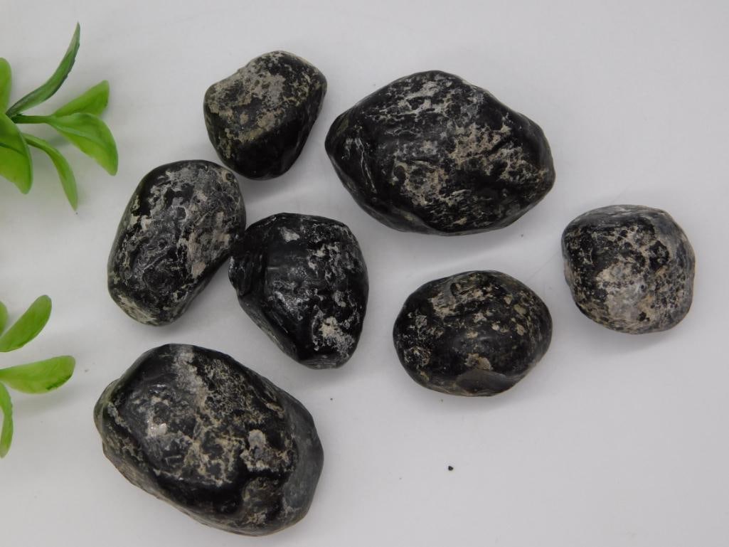 Apache Tears Tumbled Rock Lot: Group of seven tumbled black and gray jasper/rock specimens.
