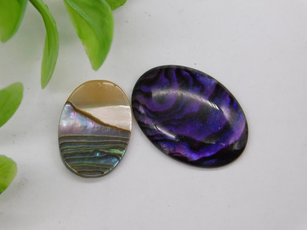 Abalone Cabochon Rock Stone Lapidary Specimen: Abalone Cabochon Rock Stone Lapidary Specimen