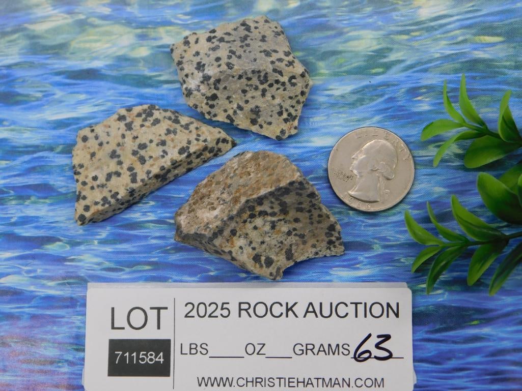 Dalmation Jasper Rock Stone Lapidary Specimen - 2