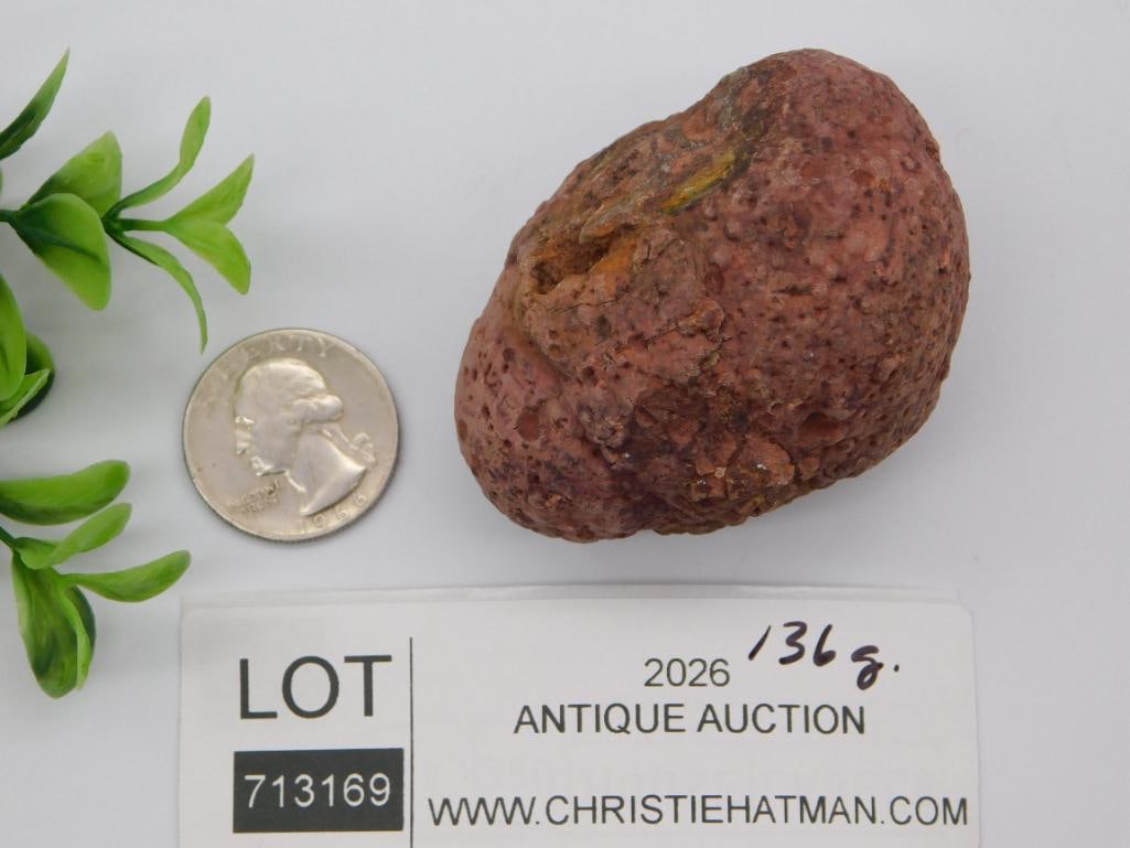 COPROLITE ROCK STONE LAPIDARY SPECIMEN - 2