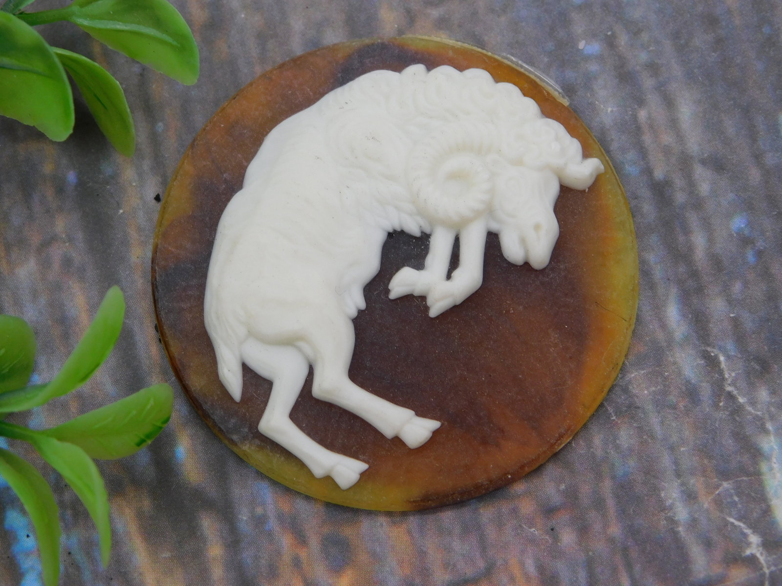 Antique — Shell Cameo Carved Ram Sheep Motif Round Brown-Tone Cabochon (1 of 2)