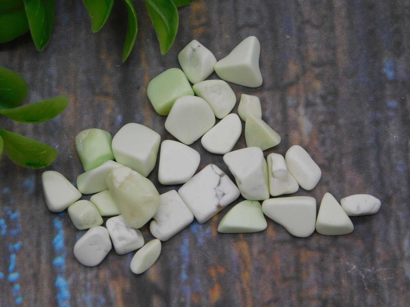 Mineral — Lemon Chrysoprase Tumbled Chip Stones 12 Gram Lot Pale Green: Mineral — Lemon Chrysoprase Tumbled Chip Stones 12 Gram Lot Pale Green