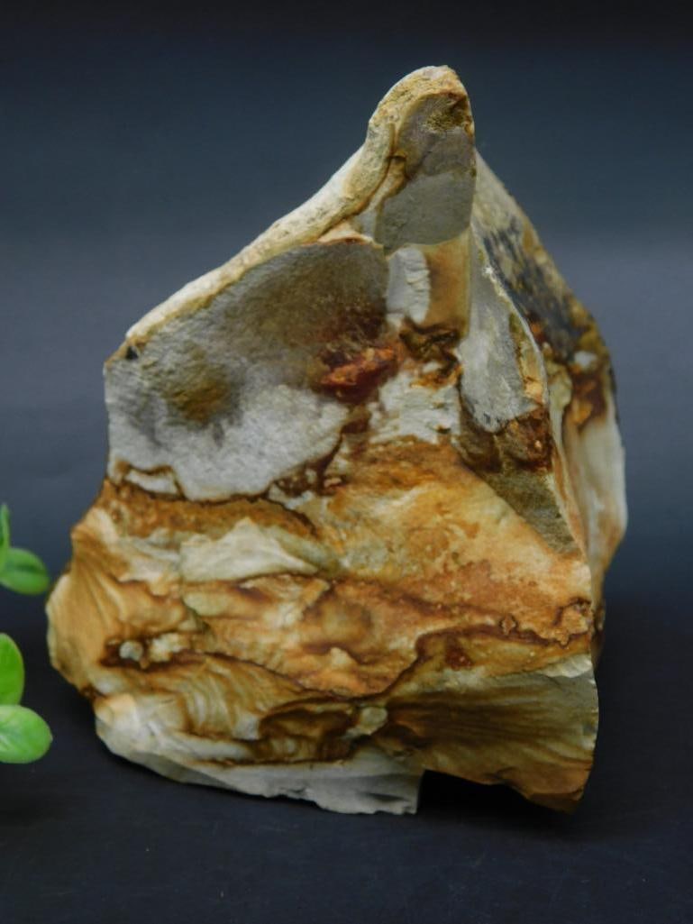 JASPER ROCK STONE LAPIDARY SPECIMEN (1 of 3)