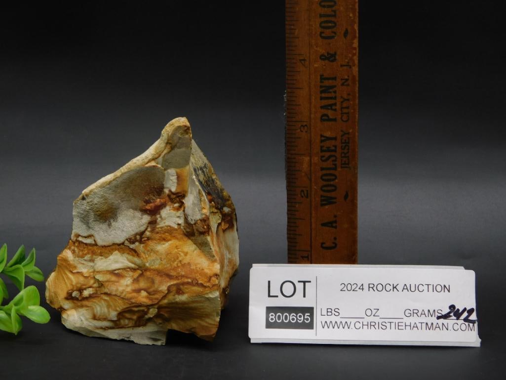 JASPER ROCK STONE LAPIDARY SPECIMEN - 3