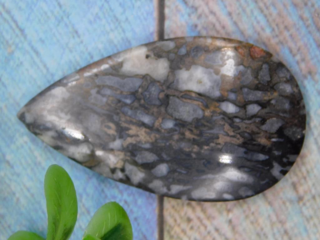 DINOSAUR BONE CABOCHON ROCK STONE LAPIDARY SPECIMEN: DINOSAUR BONE CABOCHON ROCK STONE LAPIDARY SPECIMEN