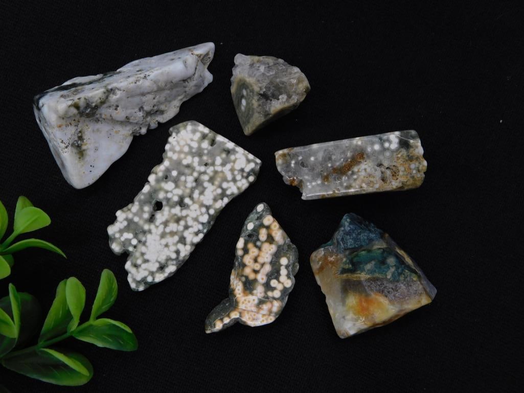 Ocean Jasper Polished Slabs & Specimens, Lot of 6: Six polished ocean jasper stone slices and specimens displaying orbicular patterning in cream, gray, green, and orange hues. Auction tag lists combined weight at 79 grams. Pieces range from about 1.5