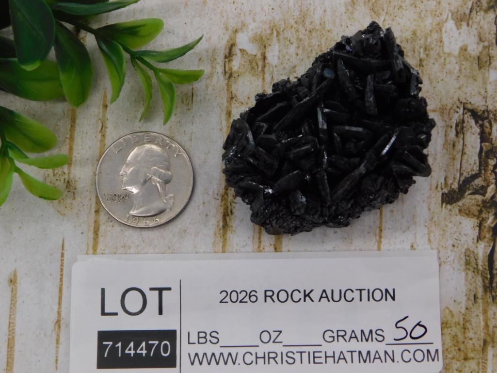 Black Tourmaline Crystal Cluster Specimen - 2