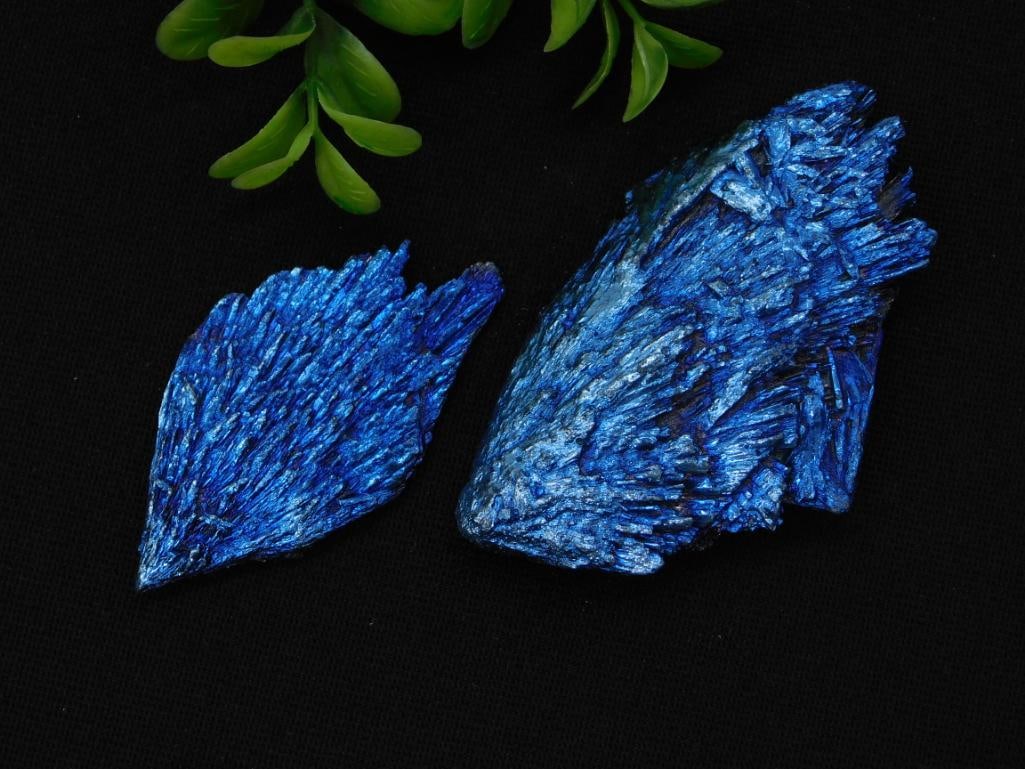 Blue Kyanite Crystal Specimens: Pair of vivid blue bladed kyanite mineral crystal specimens.