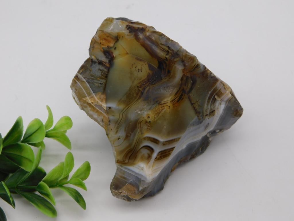 Banded Agate Rough Specimen: Rough polished banded agate specimen in tan, brown and gray tones.