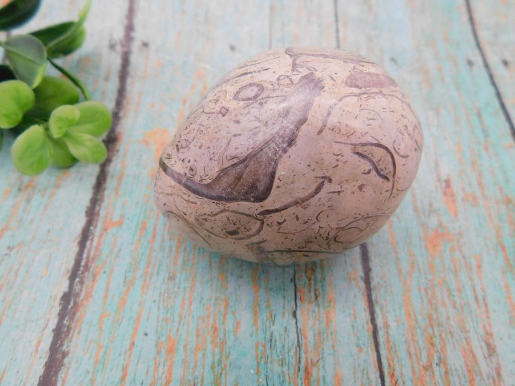 Polished Septarian Nodule Stone: Oval polished septarian nodule with natural brown dragon-skin veining pattern.
