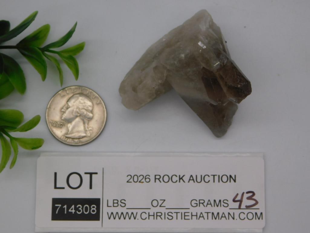 Smoky Quartz Crystal Cluster Specimen - 2
