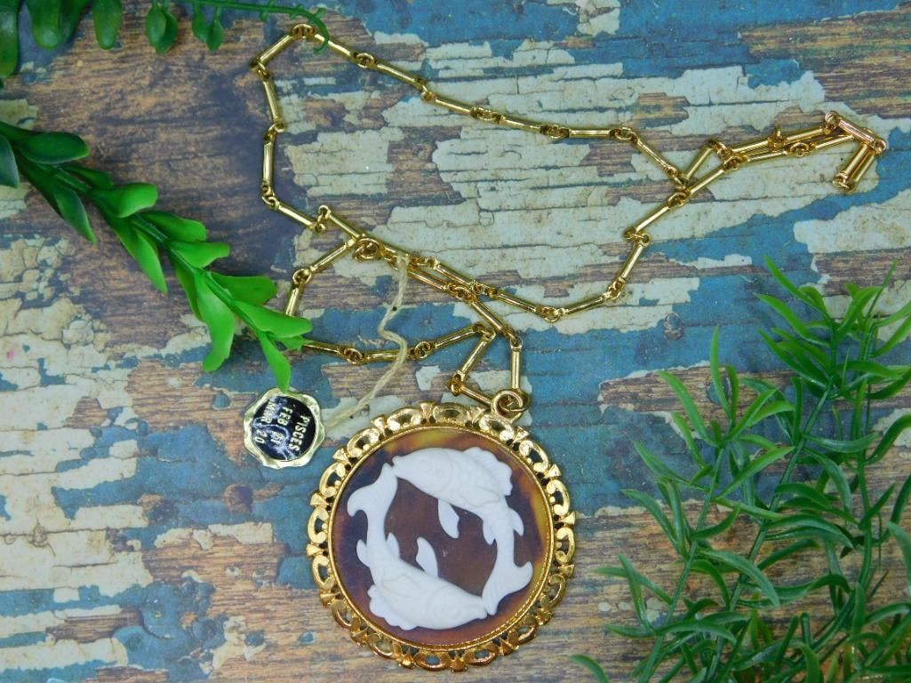 PISCES PENDANT ON CHAIN NECKLACE ROCK STONE LAPIDARY SPECIMEN: Pisces Pendant On Chain Necklace Rock Stone Lapidary Specimen. See photos for exact size and condition.