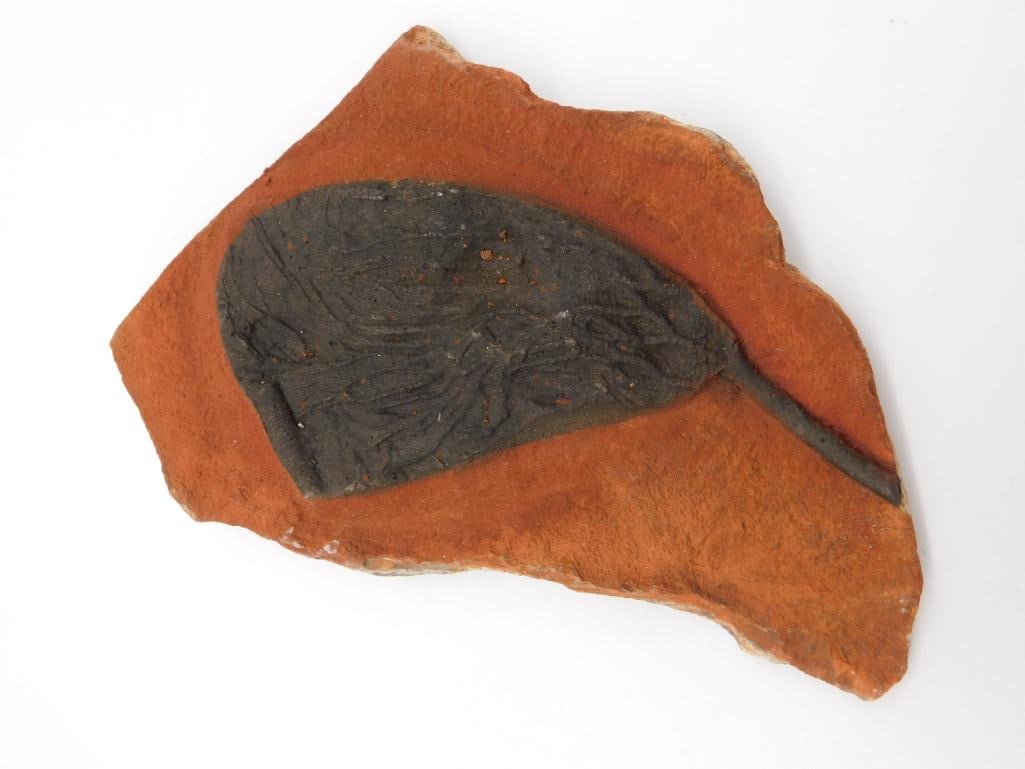 CRINOID SCYPHOCRINUS FOSSIL ROCK STONE LAPIDARY SPECIMEN: Crinoid Scyphocrinus Fossil Rock Stone Lapidary Specimen. See photos for exact size and condition.