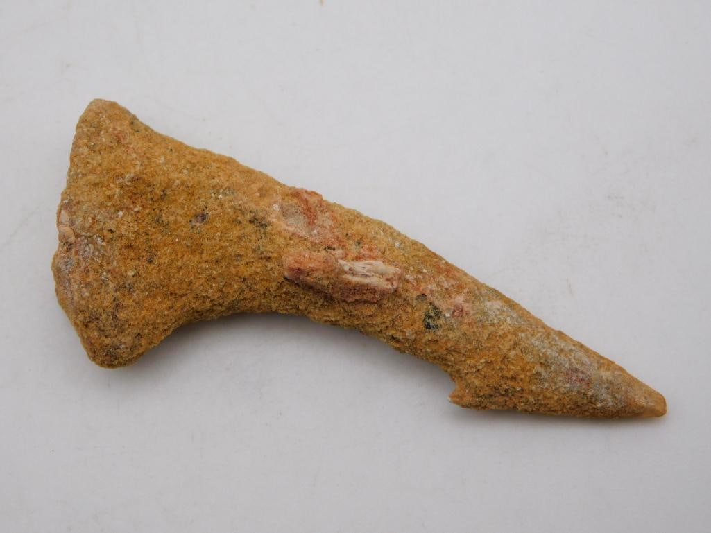 SAWFISH TOOTH ROCK STONE LAPIDARY SPECIMEN: Sawfish Tooth Rock Stone Lapidary Specimen. See photos for exact size and condition.