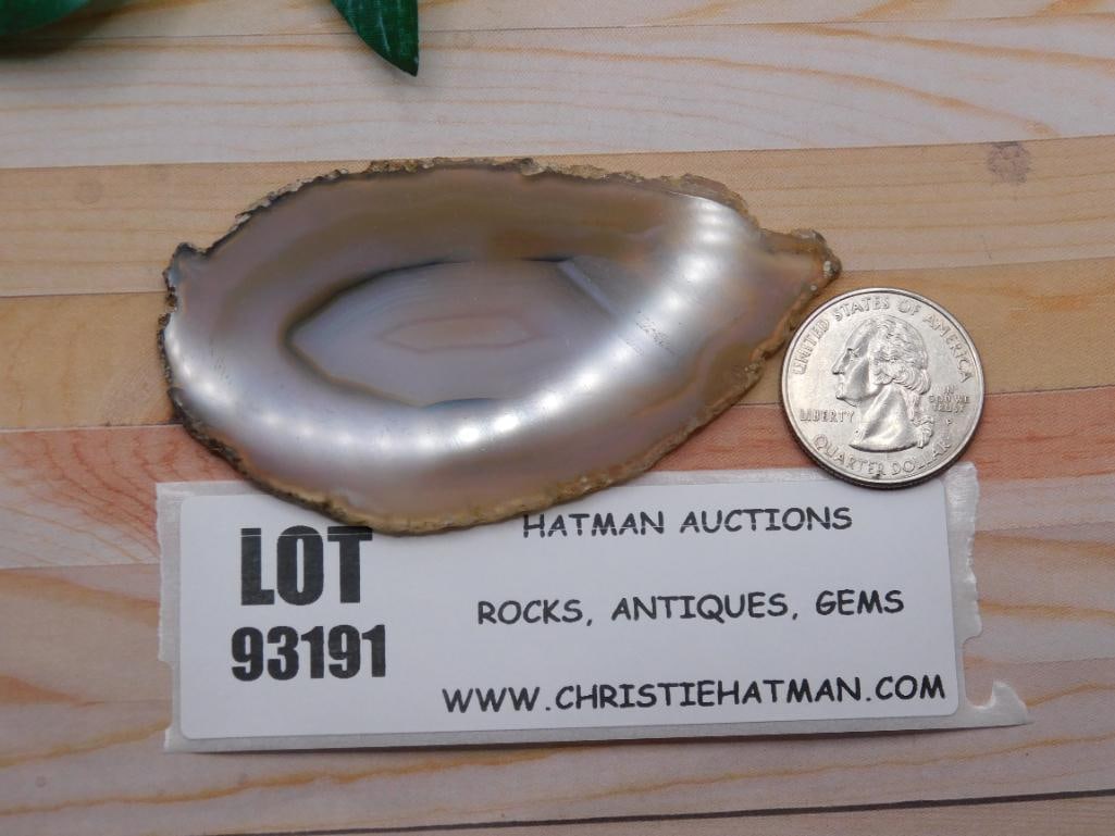 AGATE SLICE ROCK STONE LAPIDARY SPECIMEN - 7