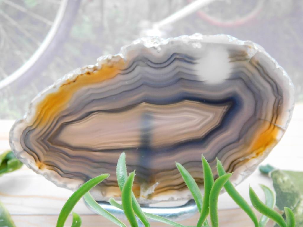 AGATE SLICE ROCK STONE LAPIDARY SPECIMEN: AGATE SLICE ROCK STONE LAPIDARY SPECIMEN