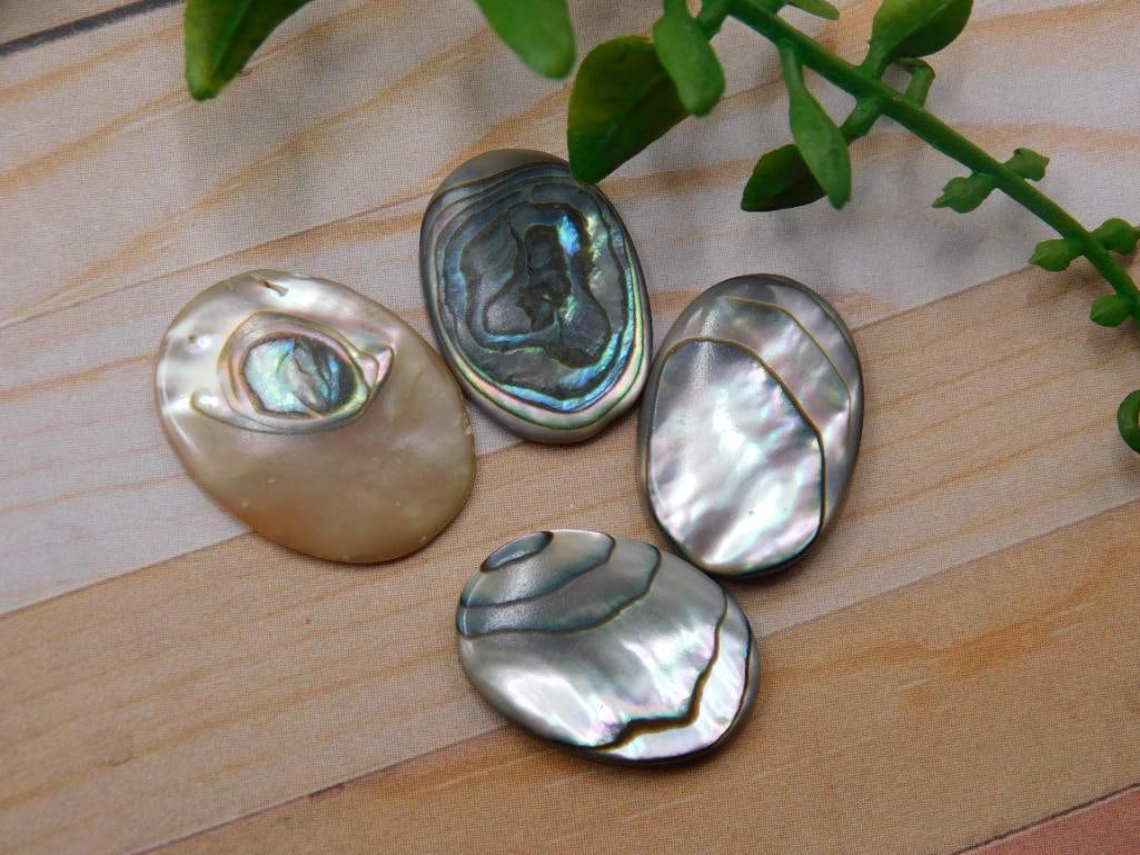 ABALONE CABOCHONS ROCK STONE LAPIDARY SPECIMEN - 3