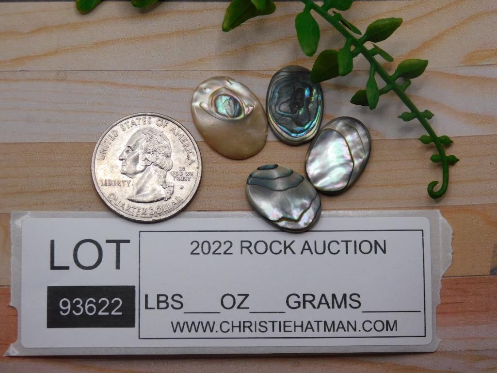 ABALONE CABOCHONS ROCK STONE LAPIDARY SPECIMEN - 4