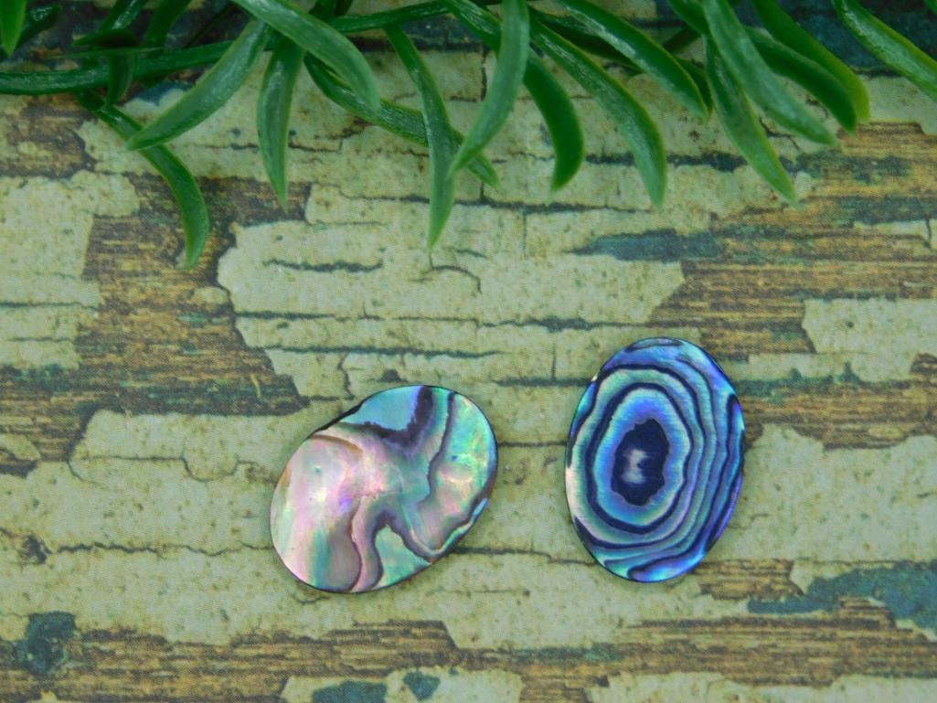 ABALONE CABOCHONS ROCK STONE LAPIDARY SPECIMEN - 5