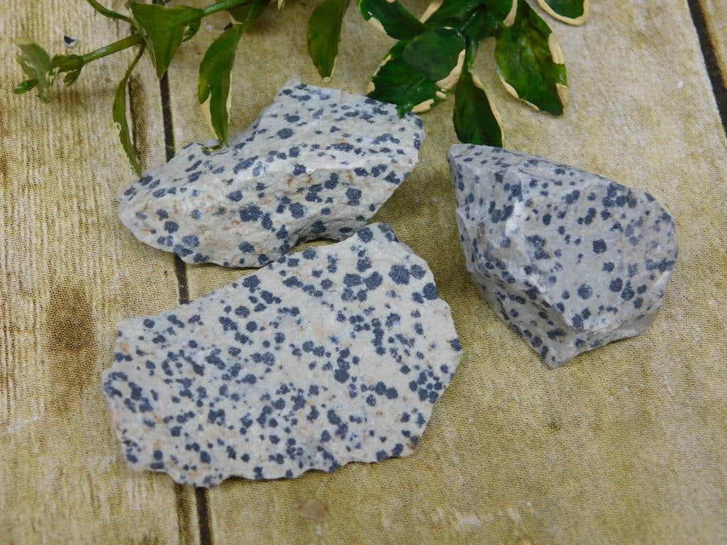 DALMATION JASPER ROCK STONE LAPIDARY SPECIMEN: DALMATION JASPER ROCK STONE LAPIDARY SPECIMEN