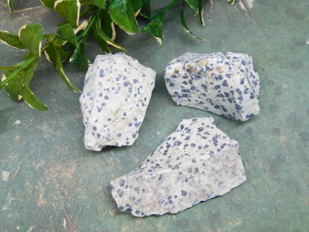 DALMATION JASPER ROCK STONE LAPIDARY SPECIMEN: DALMATION JASPER ROCK STONE LAPIDARY SPECIMEN