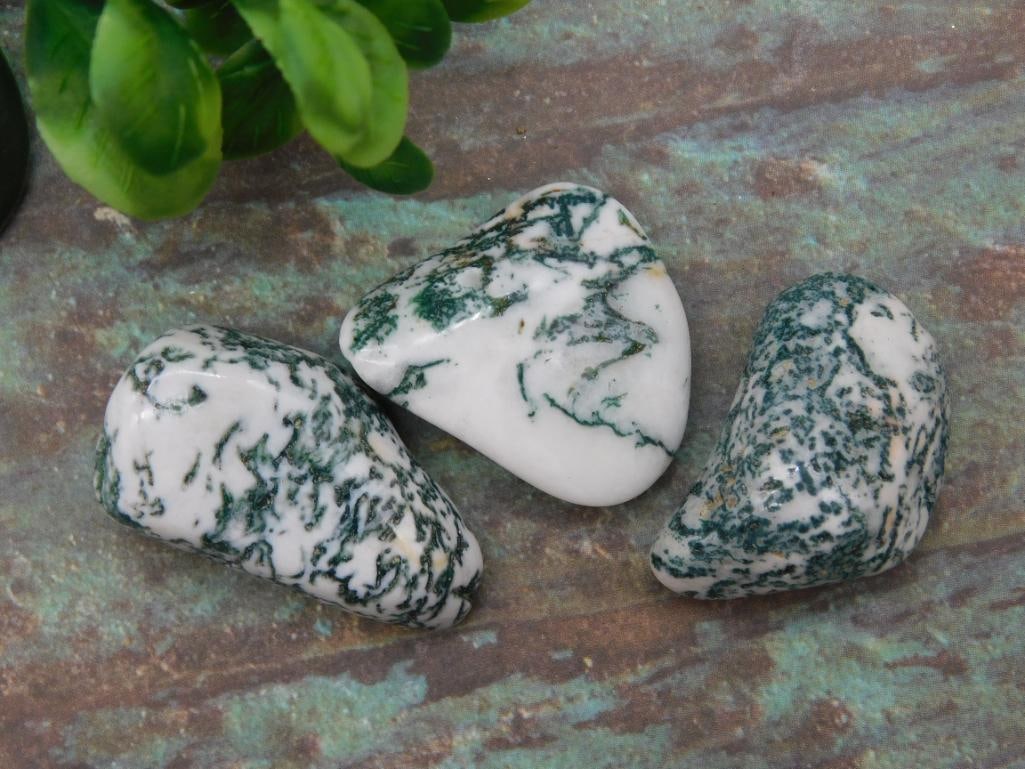 TREE AGATE ROCK STONE LAPIDARY SPECIMEN - 3