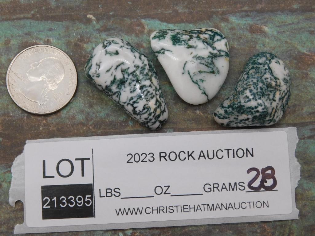 TREE AGATE ROCK STONE LAPIDARY SPECIMEN - 4