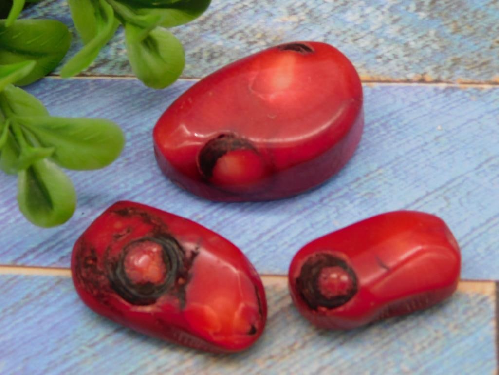 RED CORAL ROCK STONE LAPIDARY SPECIMEN: RED CORAL ROCK STONE LAPIDARY SPECIMEN