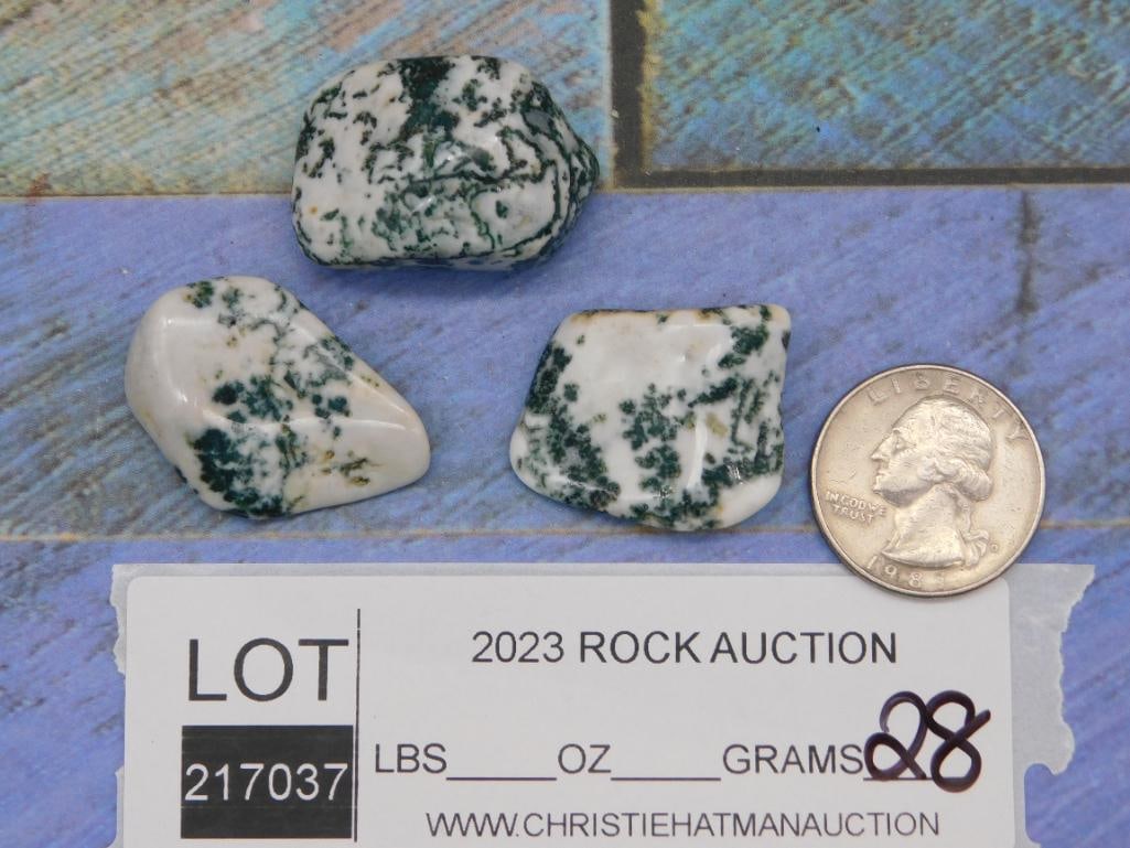 TREE AGATE ROCK STONE LAPIDARY SPECIMEN - 5