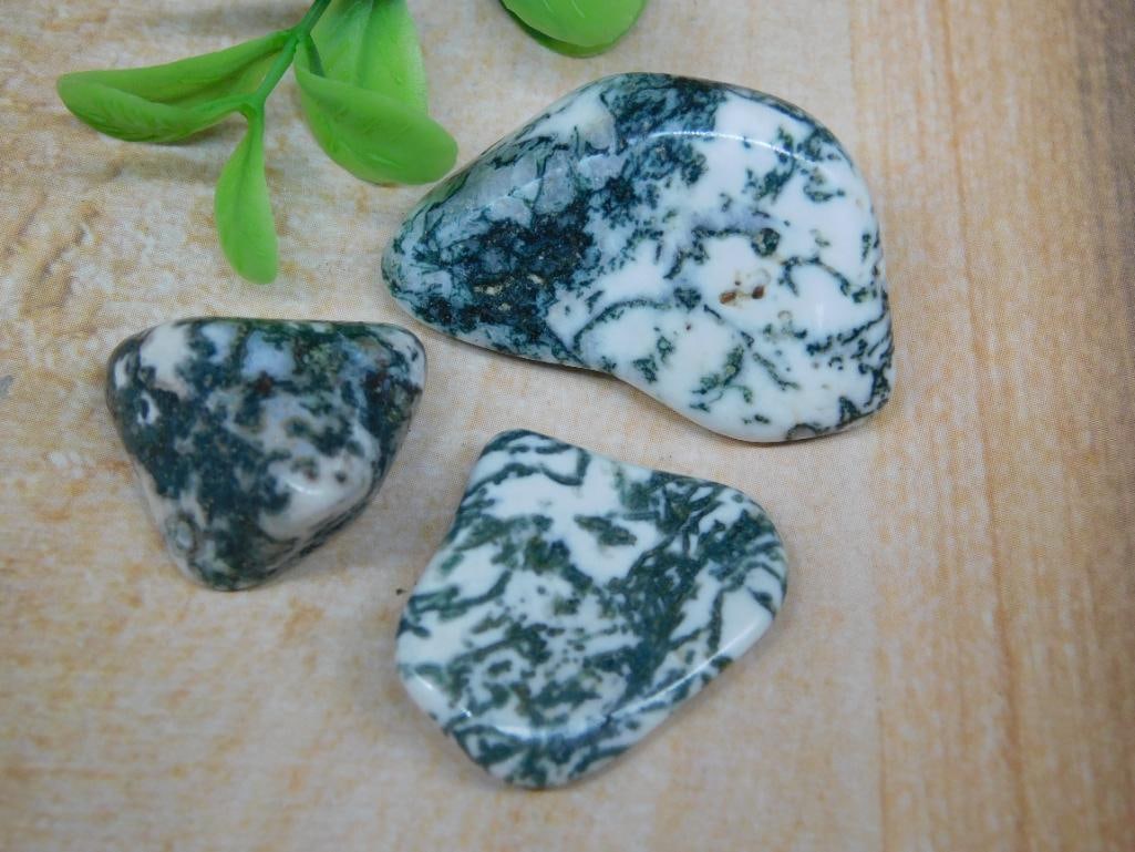 TREE AGATE ROCK STONE LAPIDARY SPECIMEN - 3