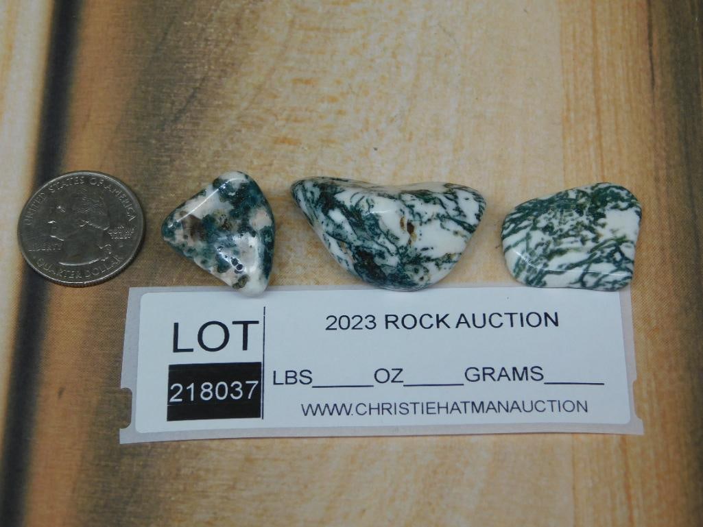 TREE AGATE ROCK STONE LAPIDARY SPECIMEN - 4