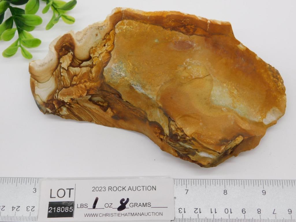 JASPER ROCK STONE LAPIDARY SPECIMEN - 4