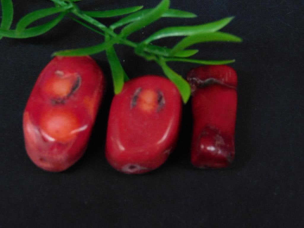 RED CORAL ROCK STONE LAPIDARY SPECIMEN (1 of 8)
