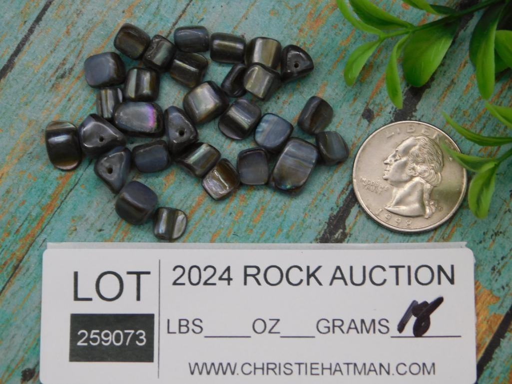 SHELL BEADS - 6