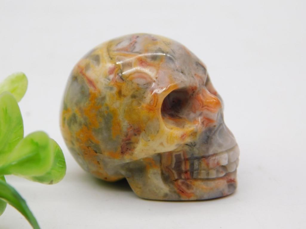 Mineral - Ocean Jasper Carved Skull Figurine: Small hand-carved skull figurine in polychrome ocean jasper with orange, gray, and cream patterning. Measures approximately 2 inches long. Shown with a 1966 quarter for scale.
