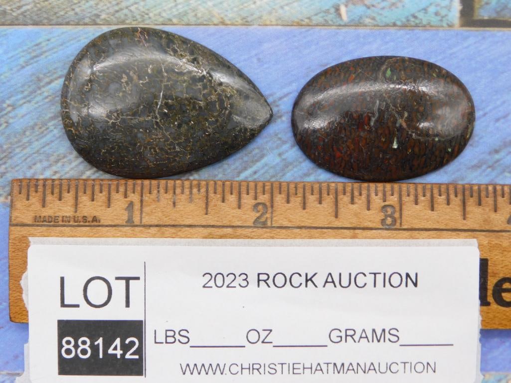 DINOSAUR BONE CABOCHONS ROCK STONE LAPIDARY SPECIMEN - 8