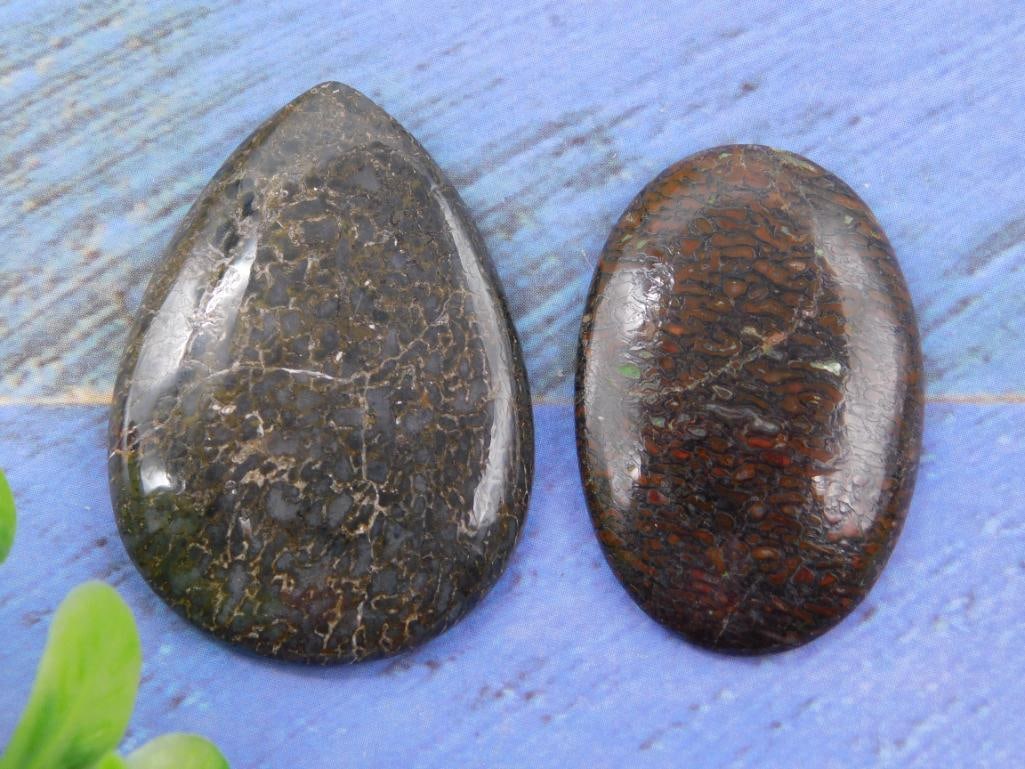 DINOSAUR BONE CABOCHONS ROCK STONE LAPIDARY SPECIMEN - 5
