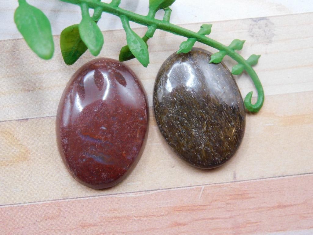 DINOSAUR BONE CABOCHONS ROCK STONE LAPIDARY SPECIMEN - 3