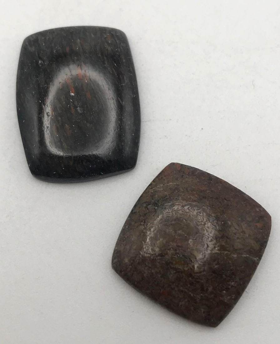 DINOSAUR BONE CAB (1 of 4)