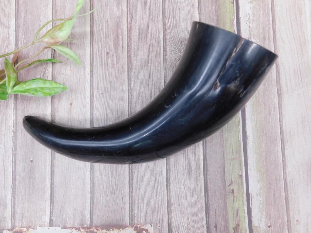 Polished Black Horn Decorative Item: A polished black horn, potentially for decorative purposes. The horn exhibits a smooth surface with a slightly curved shape. The measurements suggest dimensions of approximately 6 to 7 inches in